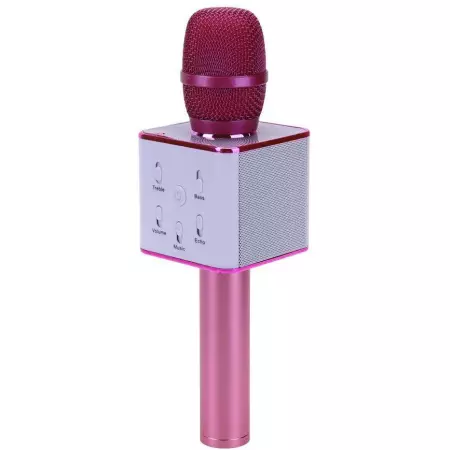 Karaoke mikrofon