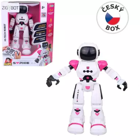Robot